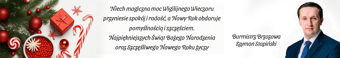 Sanktuarium W Andrzeja Boboli W Strachocinie Kamera