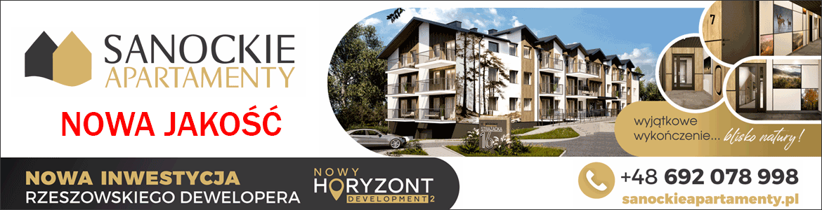 DudeSpin casino interface animation