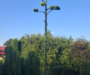 20260726_183528