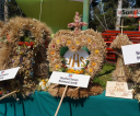 DSC09426