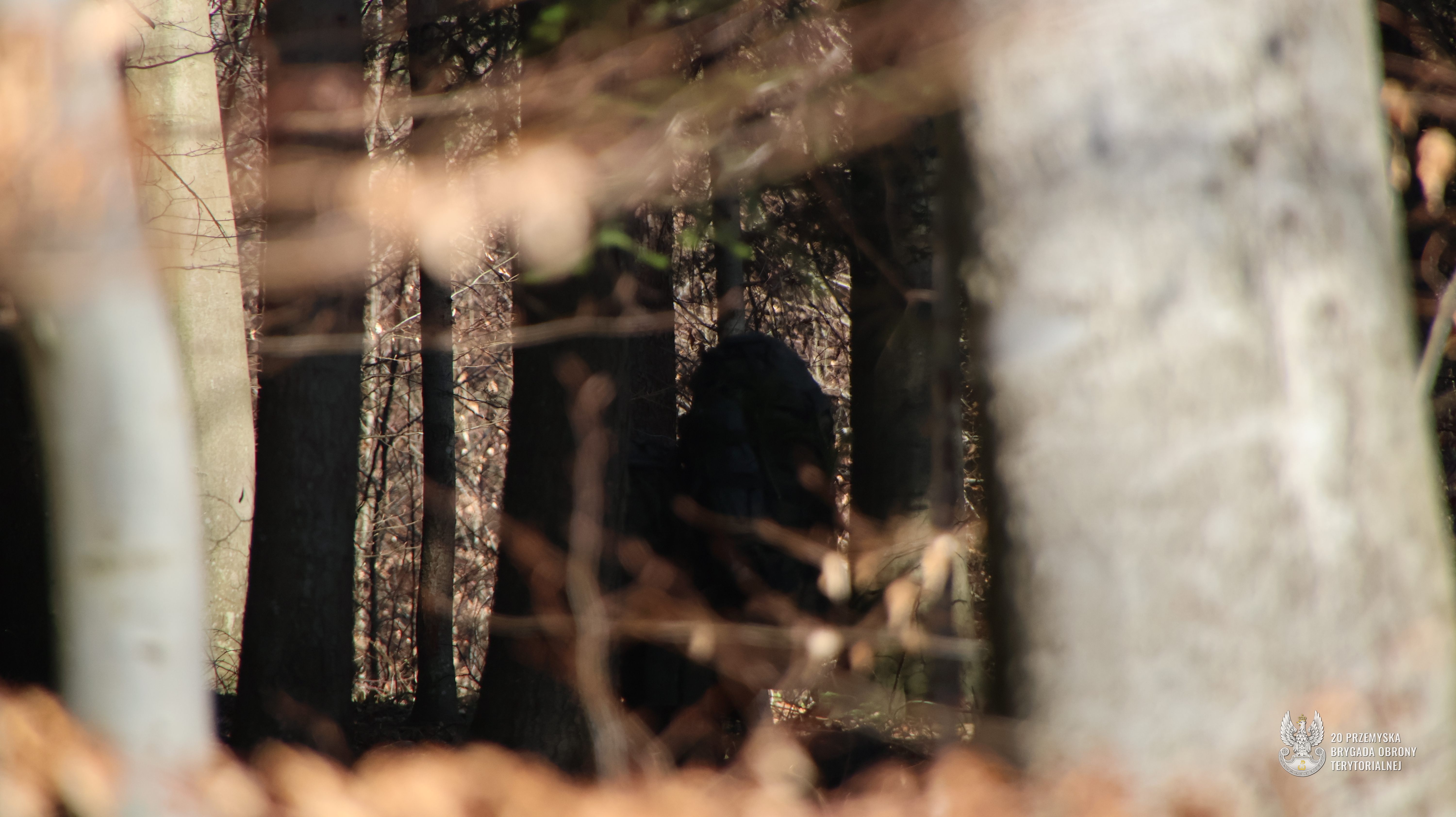 Nowi kaprale w szeregach 20. PBOT – zakończył się kolejny kurs SONDA