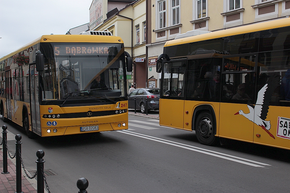 autobus2