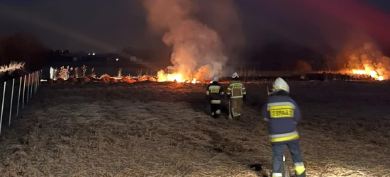 W nocy wybuchł pożar nieużytków rolnych w Kostarowcach! (ZDJĘCIA)