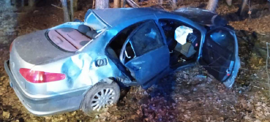 Śmierć 33-latka. Peugeot wjechał w drzewa (ZDJĘCIA)