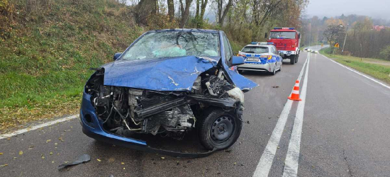 Kolizja w Domaradzu. Kobieta straciła panowanie nad pojazdem (ZDJĘCIA)