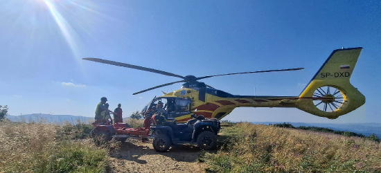 Intensywny tydzień ratowników w Bieszczadach. Wielokrotnie ruszali na pomoc [ZDJĘCIA]