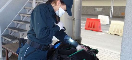 Ogromne zainteresowanie pracą w Służbie Celno-Skarbowej