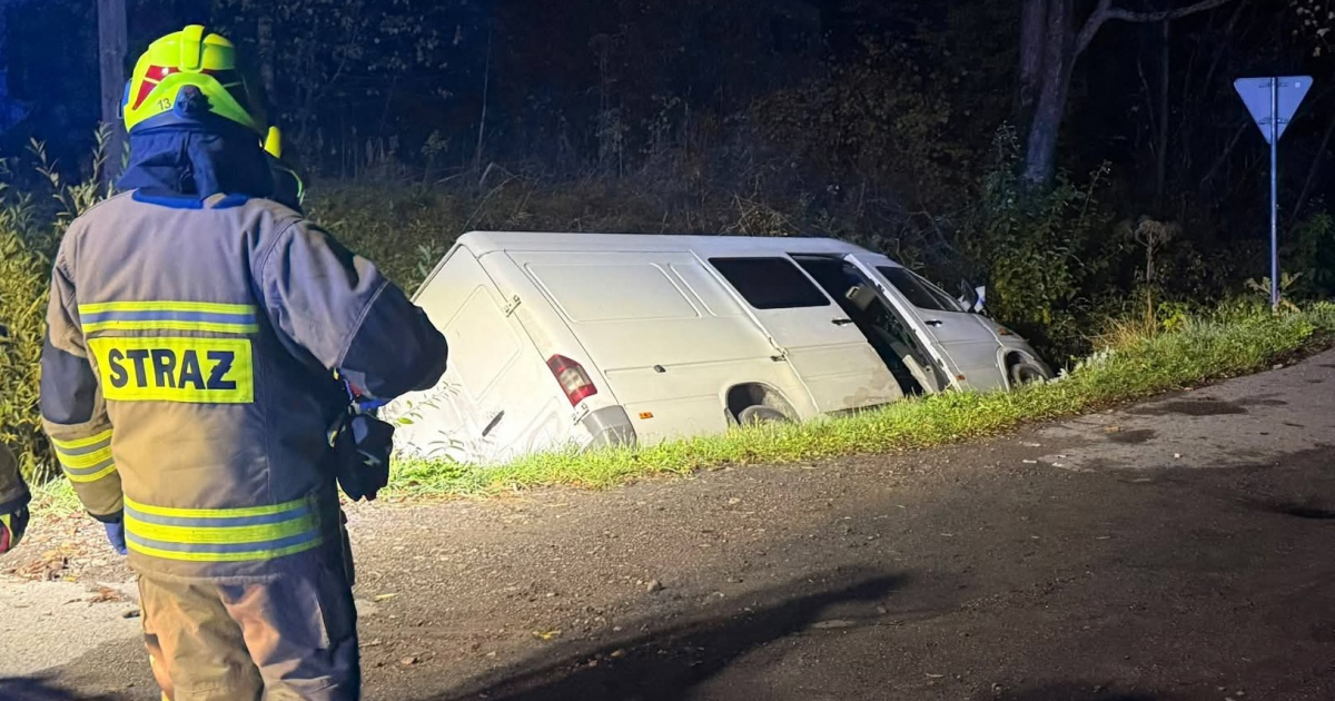 Kobieta zgubiła się w lesie, bus wpadł do rowu. Interweniowała Straż Graniczna (ZDJĘCIA)