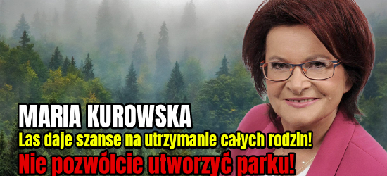 MARIA KUROWSKA: Las daje szanse na utrzymanie całych rodzin! (VIDEO)