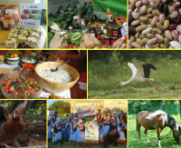 WALKA O ZDROWIE: Prawdziwa żywność od prawdziwych rolników! Podpisz „Deklarację Belwederską”