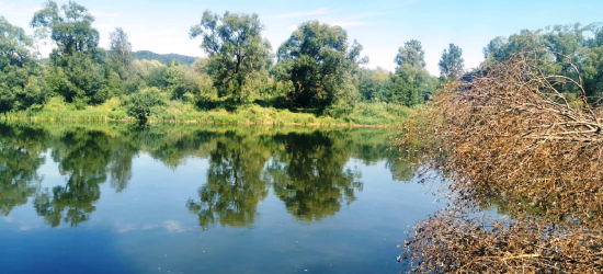 Społeczna Straż Rybacka sprawdziła wody – wędkarze bez naruszeń