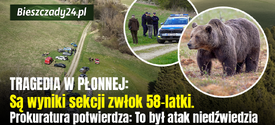 TRAGEDIA W PŁONNEJ. Sekcja zwłok potwierdziła. 58-latkę zabił niedźwiedź