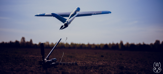 „Ognista Burza–25”: Terytorialsi z Podkarpacia w największych ćwiczeniach Sił Zbrojnych RP