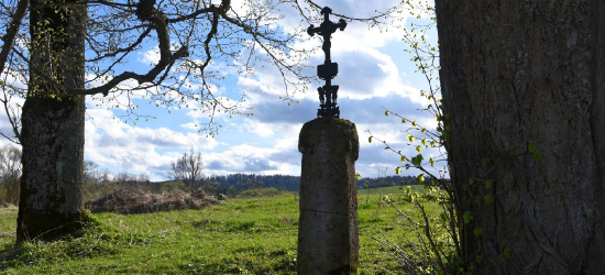 BIESZCZADY: Stare lipy i samotne krzyże przydrożne to niemi świadkowie historii [ZDJĘCIA]