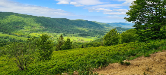 Spokojniejszy tydzień wakacji w Bieszczadach pod czujnym okiem ratowników GOPR