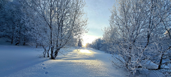 Zjazdy na sankach i „jabłuszkach” w Bieszczadzkim Parku Narodowym. Apel do turystów