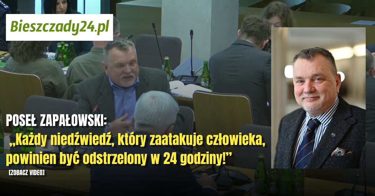 POSEŁ ZAPAŁOWSKI: „Każdy niedźwiedź, który zaatakuje człowieka, powinien być odstrzelony w 24 godziny!”