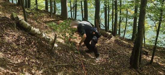 O krok od tragedii nad Jeziorem Solińskim. Drzewo uratowało turystkę!