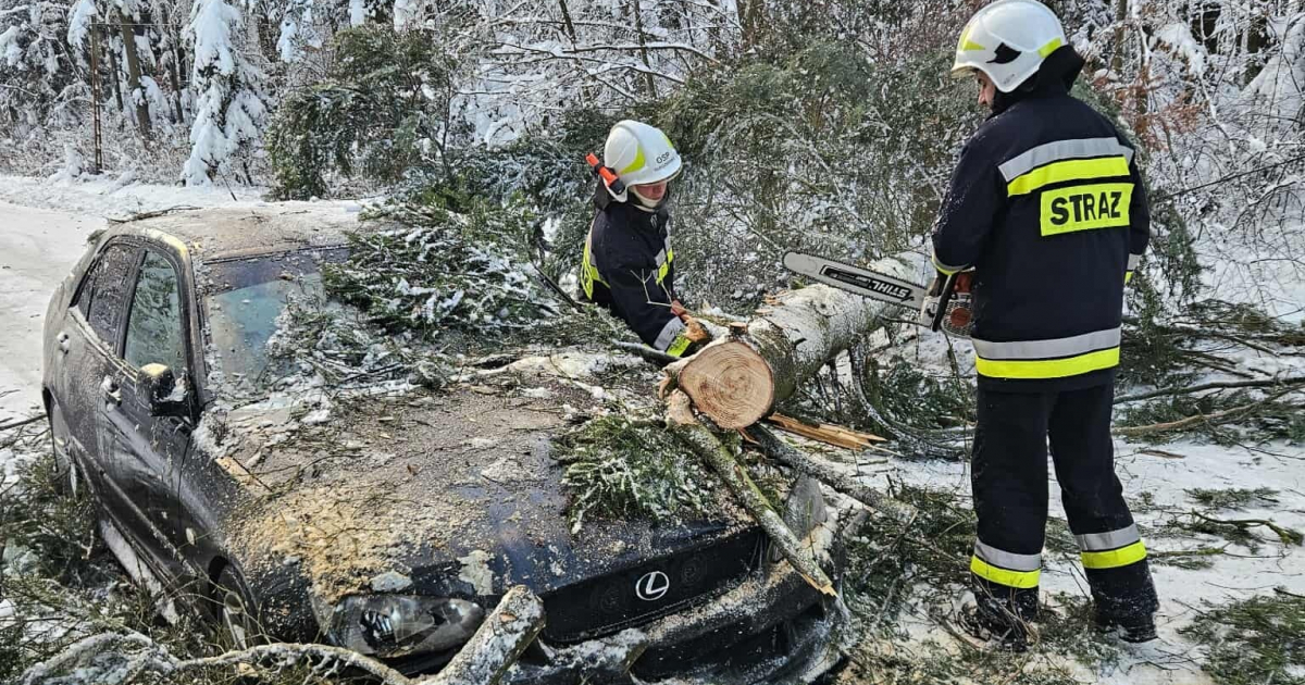 Silny wiatr w regionie. Drzewo runęło tuż na nadjeżdżający samochód w Targowiskach [VIDEO, ZDJĘCIA]