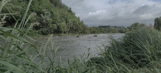 Utonięcie w rzece Osława w Zagórzu