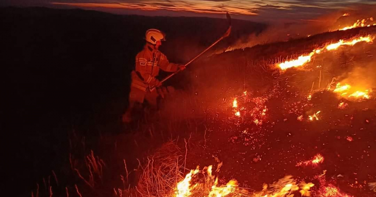 Duże zagrożenie pożarowe w lasach. Wydano Alert RCB