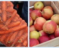 Kolejne tiry owoców i warzyw w Sanoku. Dziś jabłka