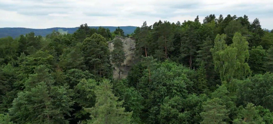 „W niedzielę za miasto” z PTTK. Piesza wyprawa na granicy turystycznych Bieszczadów