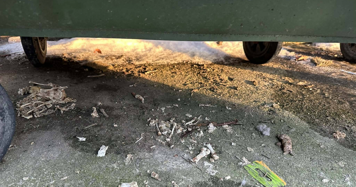 „Kulinarna stołówka” przy ZUS w Brzozowie – DOŚĆ! Stanowczy apel o odpowiedzialność