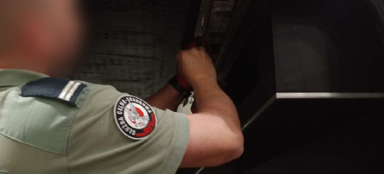 Pomysłowość przemytników nie zna granic. Papierosy w baku i podsufitce [ZDJĘCIA]