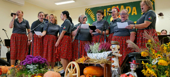 Jubileuszowa X Biesiada Pakoszowska. Święto tradycyjnej muzyki ludowej