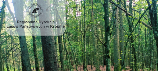 RDLP: Nowe doświadczenia w zakresie certyfikacji FSC!