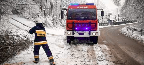 Zimowe utrudnienia na Podkarpaciu. Interweniowali strażacy (FOTO)