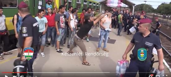 KONTROWERSJE: Biedni uchodźcy „schorowane kobiety i dzieci” odrzucają pomoc Węgrów (ZOBACZ VIDEO)