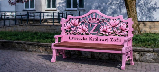 Pod słynną magnolią „Zofią” stanie wyjątkowa ławeczka. Zaprezentowano wizualizację [ZDJĘCIA]