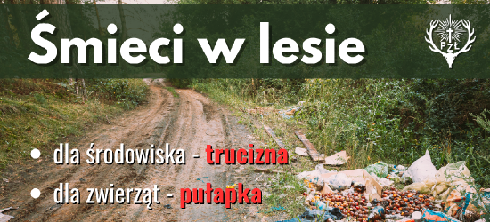 Zwierzęta nie śmiecą. Ludzie – tak. Dlaczego odpady w lesie to śmiertelne zagrożenie?