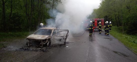 Samochód stanął w płomieniach. Ogień doszczętnie strawił pojazd (FOTO)