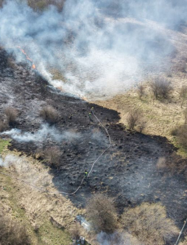 Pożar traw przy obwodnicy. W akcji 5 zastępów straży [ZDJĘCIA Z LOTU PTAKA]