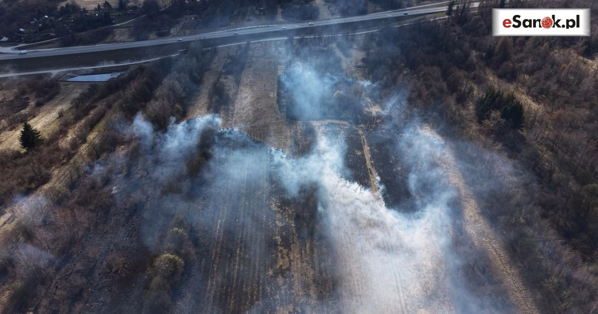 SANOK: Czarna seria pożarów traw! Strażacy walczyli z ogniem w dwóch częściach miasta [VIDEO, ZDJĘCIA]