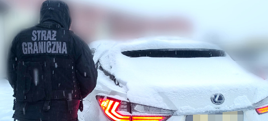 Straż Graniczna zatrzymała skradzione pojazdy podczas kontroli – wśród nich koparka i luksusowy Lexus
