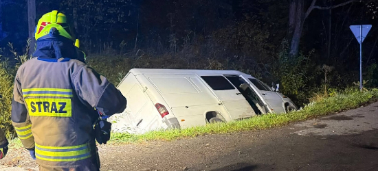 Kobieta zgubiła się w lesie, bus wpadł do rowu. Interweniowała Straż Graniczna (ZDJĘCIA)