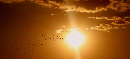 Ostrzeżenie meteorologiczne dla powiatu sanockiego – burze i upały