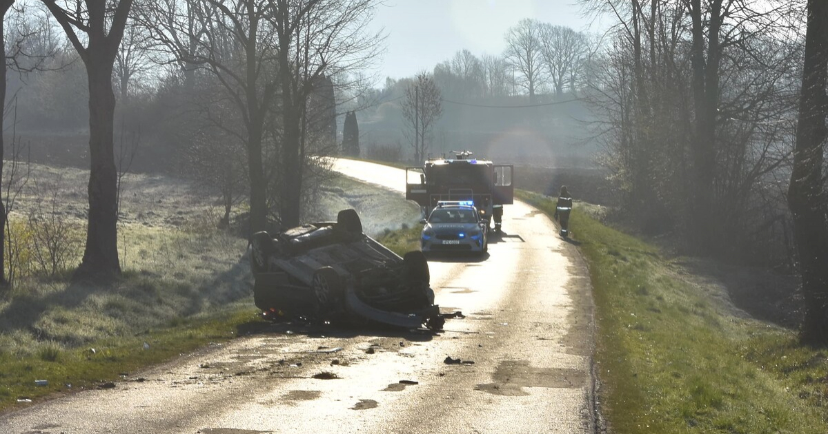 Weekendowa plaga pijanych kierowców. Dachowanie, Ford w rowie i drogowa recydywa