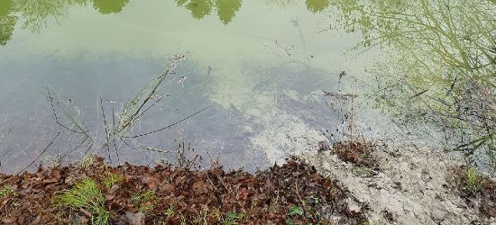 Czytelnik alarmuje: Znowu doszło do zanieczyszczenia Jeziora Solińskiego! Wójt Soliny: To jest płukanie rur (VIDEO, ZDJĘCIA)