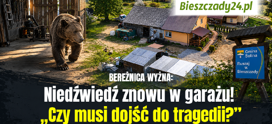 BEREŻNICA WYŻNA: Niedźwiedź znowu w garażu! „Czy musi dojść do tragedii?” [VIDEO]