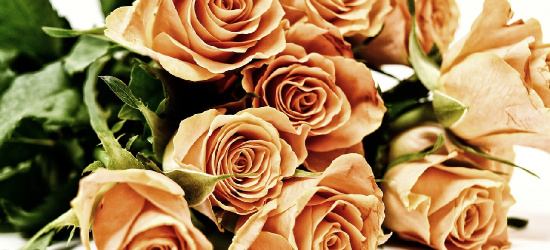 Życzenia z okazji Dnia Pielęgniarki i Położnej