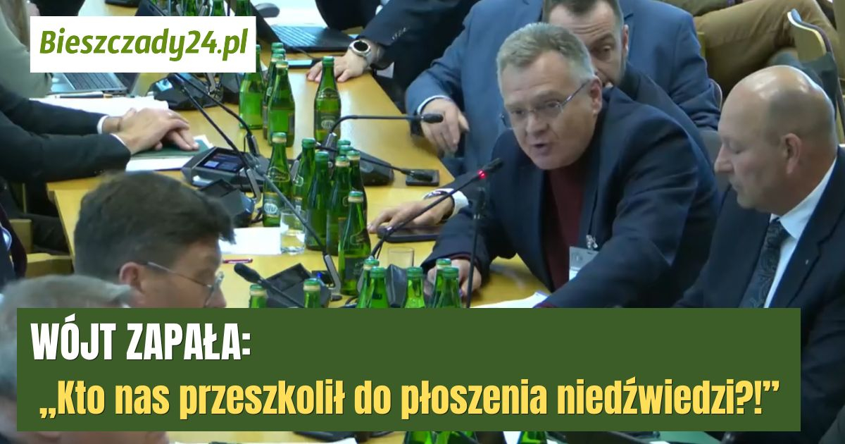 WÓJT ZAPAŁA: „Kto nas przeszkolił do płoszenia niedźwiedzi?!” [VIDEO]