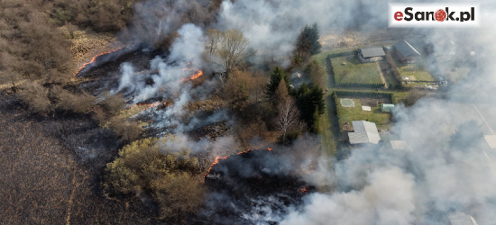 SANOK: Groźny pożar przy ul. Gajowej! Ogień o krok od ogródków działkowych [VIDEO, ZDJĘCIA Z LOTU PTAKA]