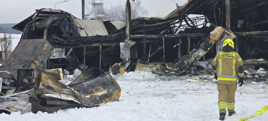 ZAGÓRZ: Pożar hali produkcyjnej. Dach zawalił się w trakcie akcji [VIDEO, ZDJĘCIA]