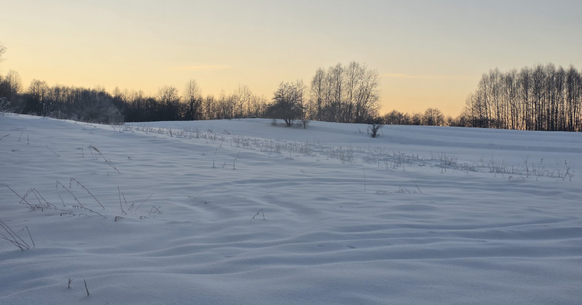 Silny mróz w regionie! IMGW ostrzega mieszkańców