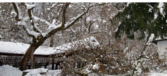 Zaspy i połamane drzewa. Sanocki skansen nieczynny